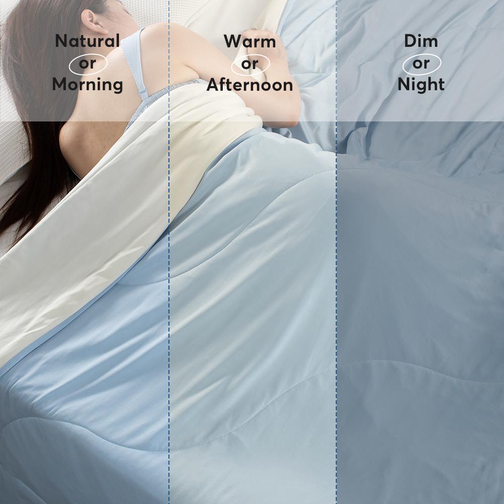 Mintorai All Season Ultra Soft Cooling Blanket Comforter, Hypoallergenic and Breathable, Room Decor, Graduation Gifts