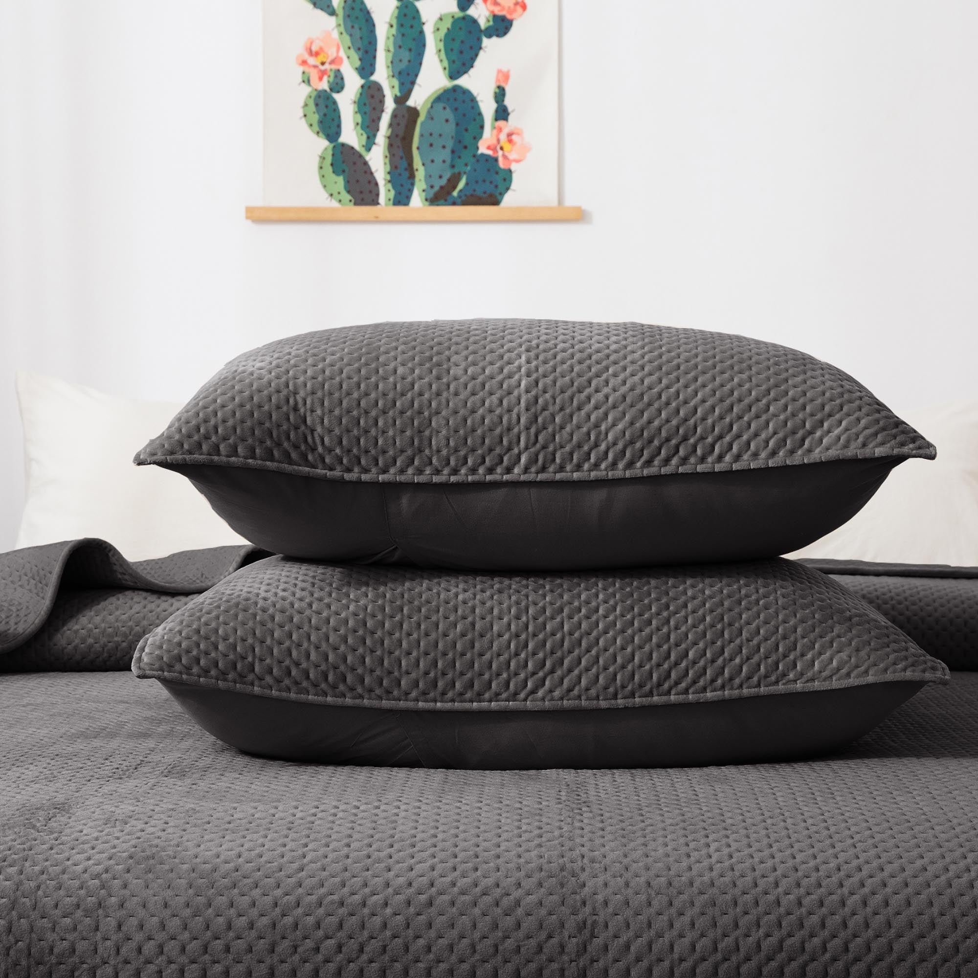 Mintorai All Season Cozy Velvet Quilt Set with Shams, Queen, King, Room Decor, Graduation Gifts