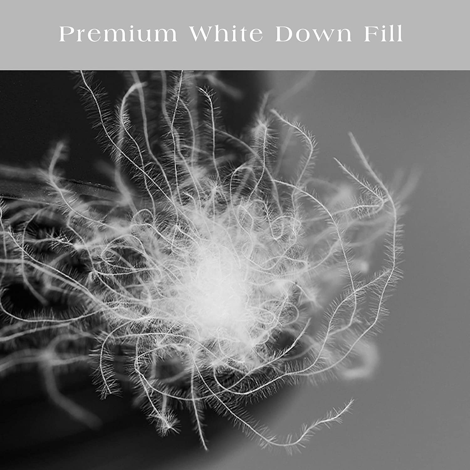 Mintorai Egyptian Cotton and Down Feather Pillow Set, Ivory White