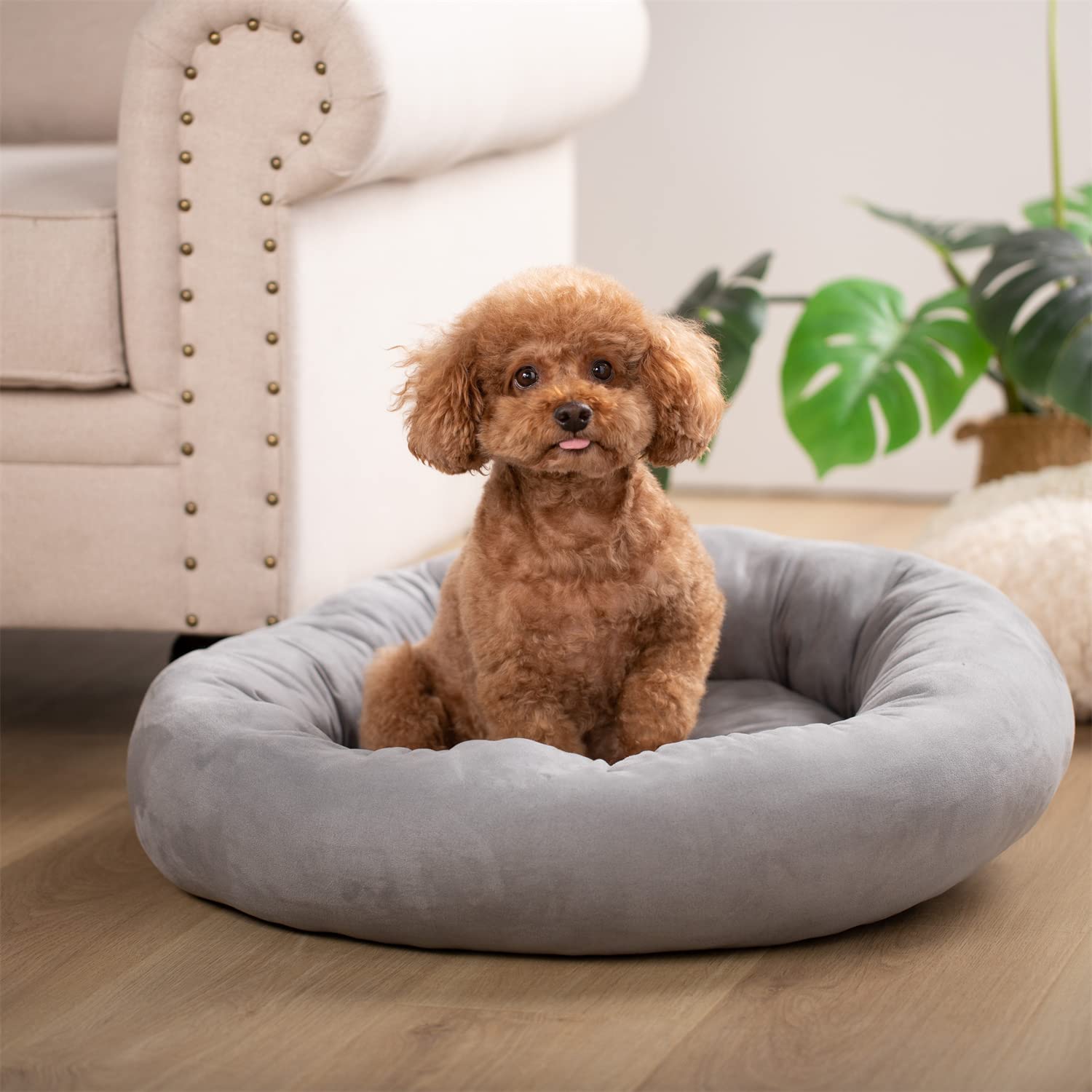 Mintorai Donut Design Round Dog Bed, Anti Slip and Machine Washable