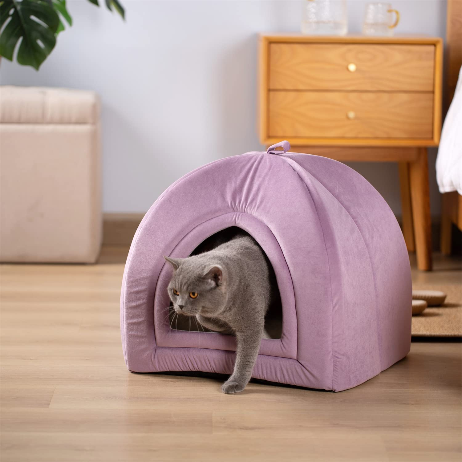 Mintorai Cat Bed, Lovely Tent with Removable Washable Pillow Cushion