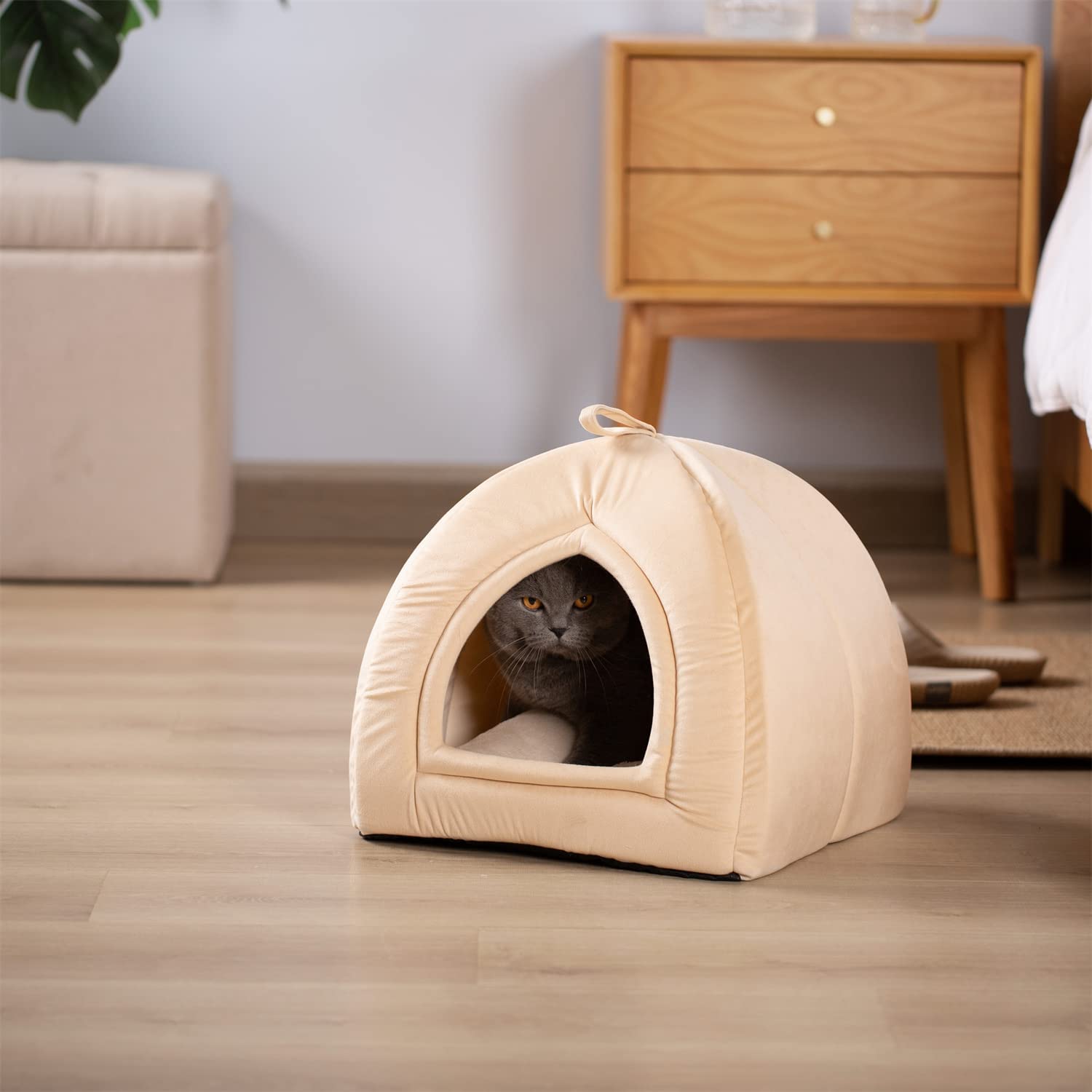 Mintorai Cat Bed, Lovely Tent with Removable Washable Pillow Cushion
