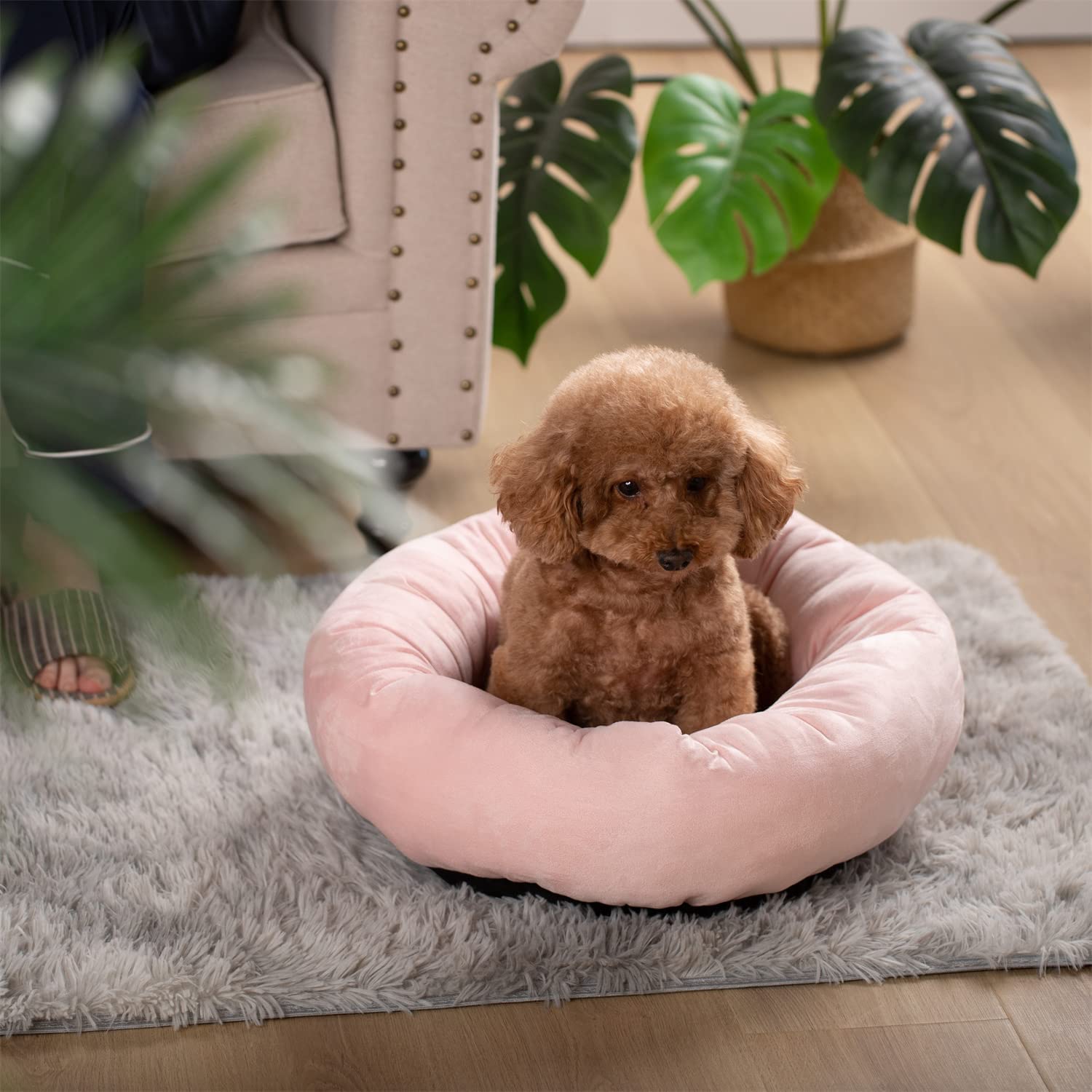 Mintorai Donut Design Round Dog Bed, Anti Slip and Machine Washable