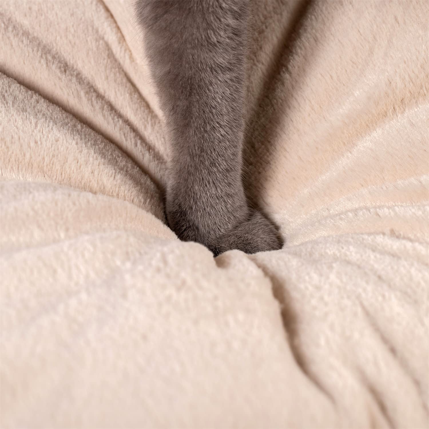 Mintorai Cat Bed, Lovely Tent with Removable Washable Pillow Cushion