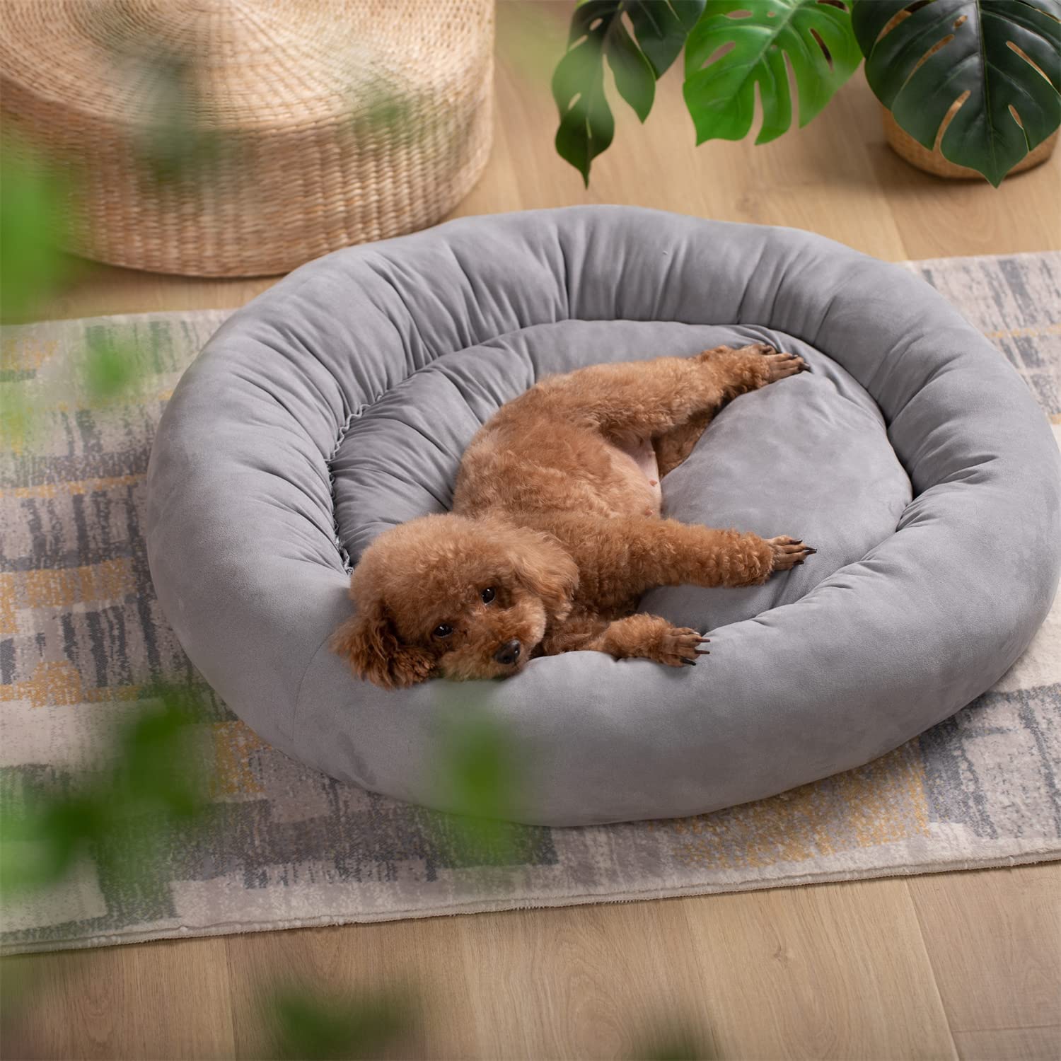 Mintorai Donut Design Round Dog Bed, Anti Slip and Machine Washable