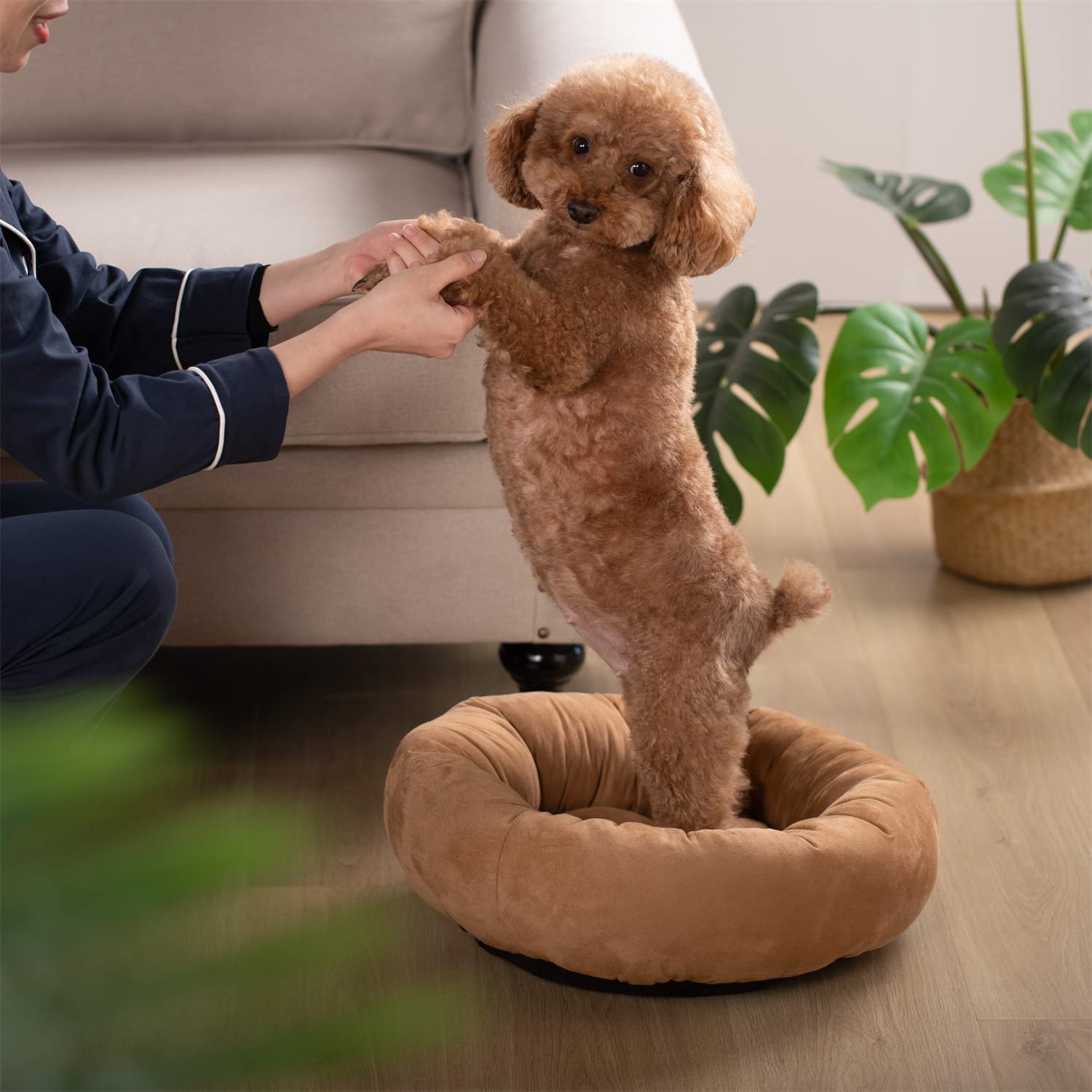 Mintorai Donut Design Round Dog Bed, Anti Slip and Machine Washable