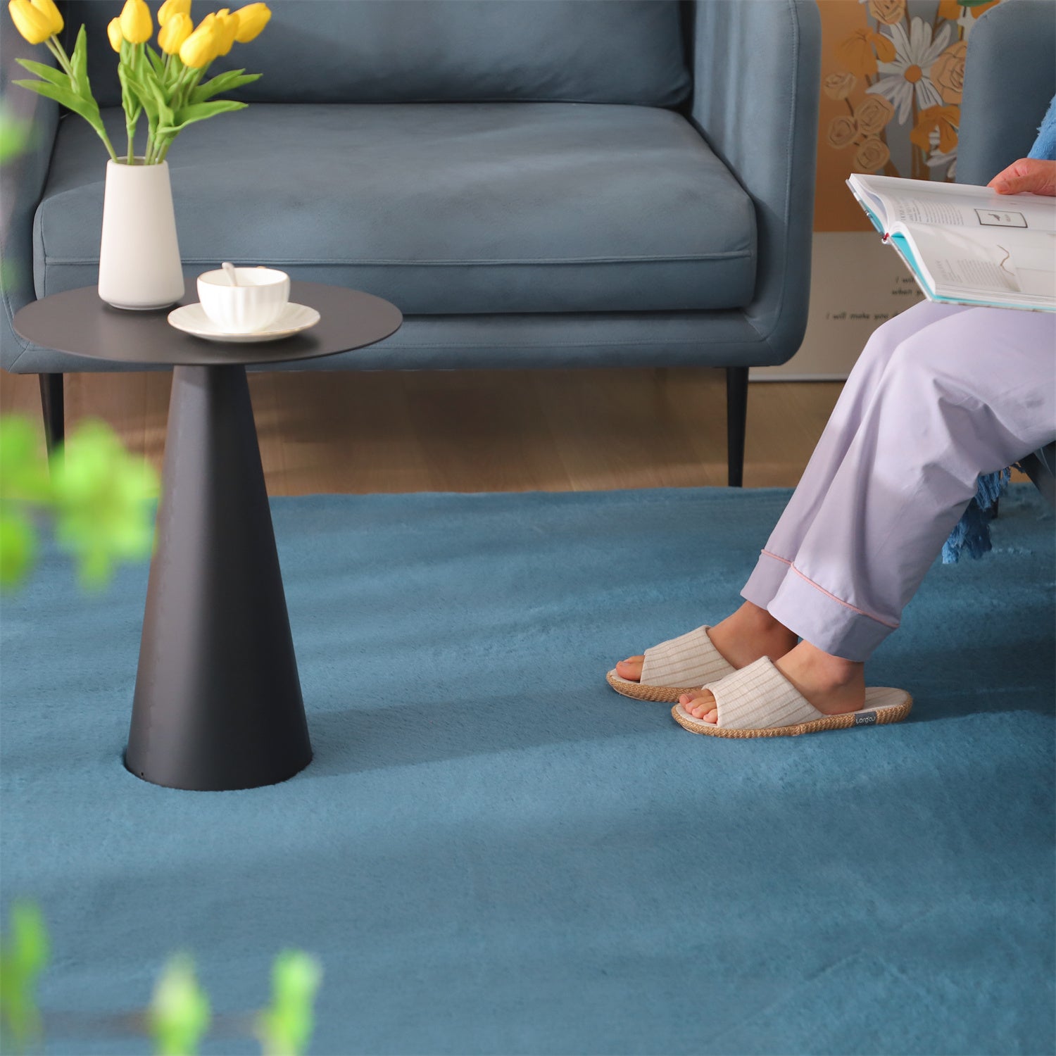 Mintorai Fluffy Elegant Faux Fur Area Rugs, Ultra Soft, Room Decor, Graduation Gifts, Fathers Day Gift, Mom Gift