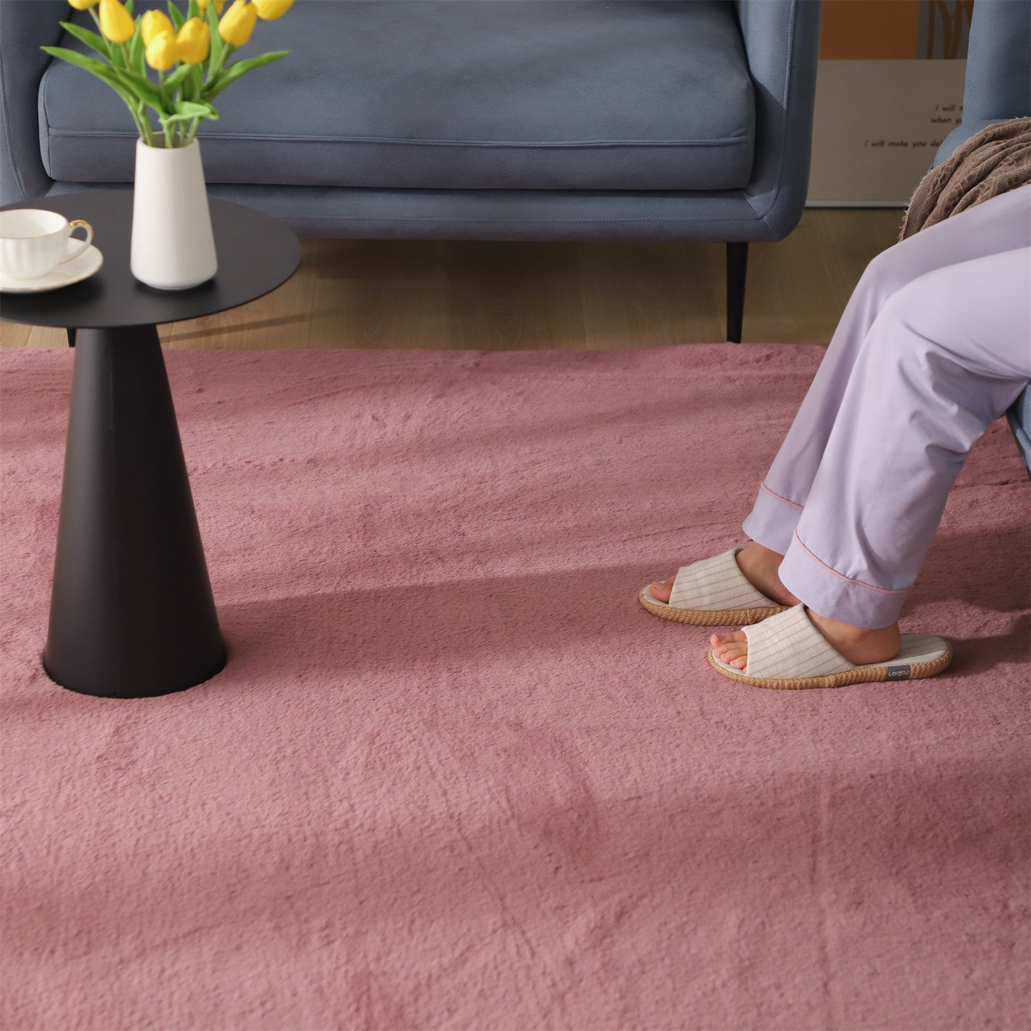 Mintorai Fluffy Elegant Faux Fur Area Rugs, Ultra Soft, Room Decor, Graduation Gifts, Fathers Day Gift, Mom Gift