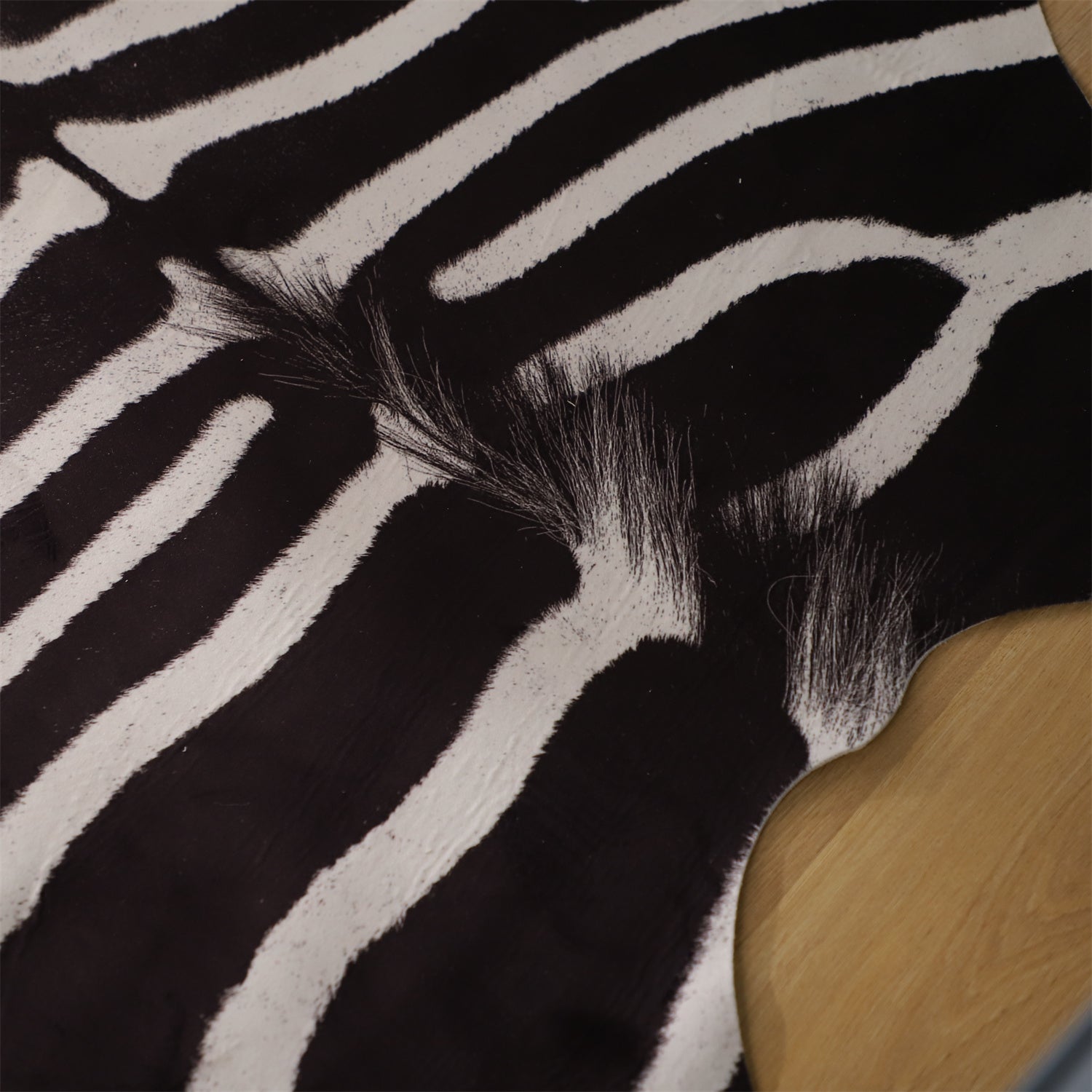 Mintorai Animal Print Area Rug, Country Western Style, Fathers Day Gift, Room Decor, Graduation Gifts